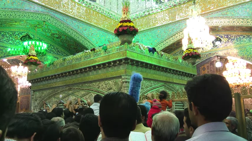 زائران کنار ضریح امام رضا (ع)